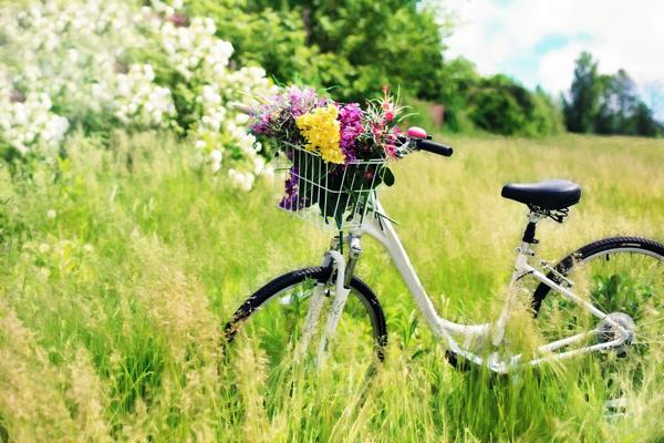 Ab sofort gibt es die Möglichkeit, sich auf der Webseite www.STADTRADELN.de anzumelden. Ein Fahrrad in einer Sommerwiese